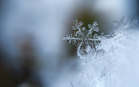 Beugen Sie Frostschäden frühzeitig vor, sonst kann es teuer werden. 